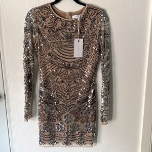 NWT. Short sequin dress. Nude lining and sheer arms. Long sleeve. XS.